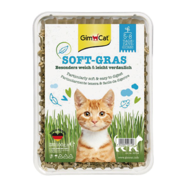 GimCat 竣寶 香味軟貓草(盒裝) 100g