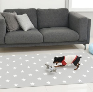 韓國製 dfang迪邦寵物降溫遊戲地墊-灰色星空  (耐刮靜音)