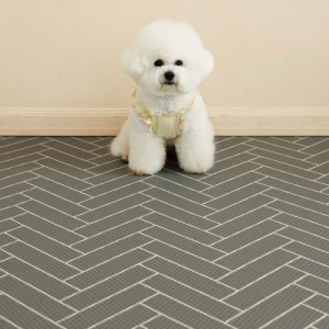 韓國製 dfang迪邦 寵物降溫遊戲地墊-灰色格調 (耐刮靜音)