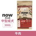 NOW 狗狗高湯天然糧-中型成犬牛肉 300g_1