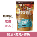NOW 無穀天然糧-鮮魚成貓(鱒魚+鮭魚+鲱魚) 300g（小包裝）_1