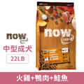 Now 無穀天然糧-鮮肉成犬配方 22LB_1