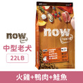Now 無穀天然糧-鮮肉老犬/體控犬配方 22LB_1