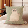 可愛貓咪抱枕 40x40cm (多款可選)_1