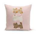 慶生貓抱枕 45x45cm (多款可選)