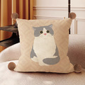 可愛貓咪抱枕 40x40cm (多款可選)_2