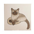 可愛貓咪無框畫油畫(多款可選)_2