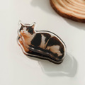貓咪雙面壓克力夾(多款可選)_1