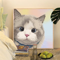 貓咪DIY數字油畫30x30cm(多款可選)_5