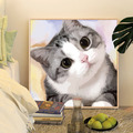 貓咪DIY數字油畫30x30cm(多款可選)