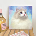 貓咪DIY數字油畫30x30cm(多款可選)_3