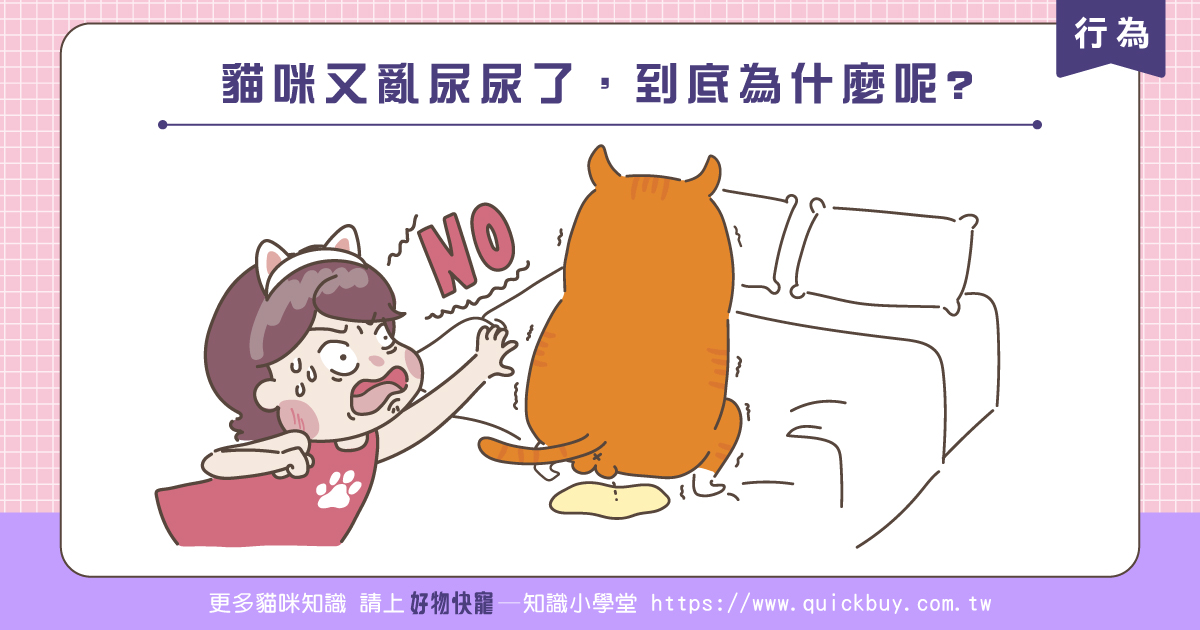 貓咪又亂尿尿了，到底為什麼呢?