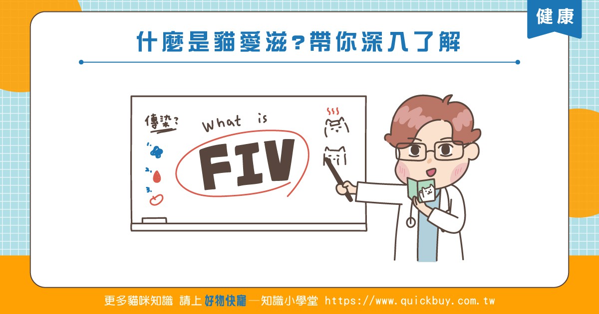 什麼是貓愛滋?帶你深入了解