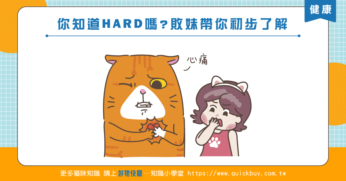 你知道HARD嗎?敗妹帶你初步了解