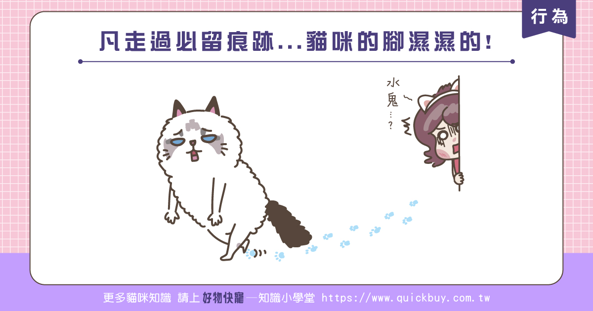 凡走過必留痕跡...貓咪的腳濕濕的!