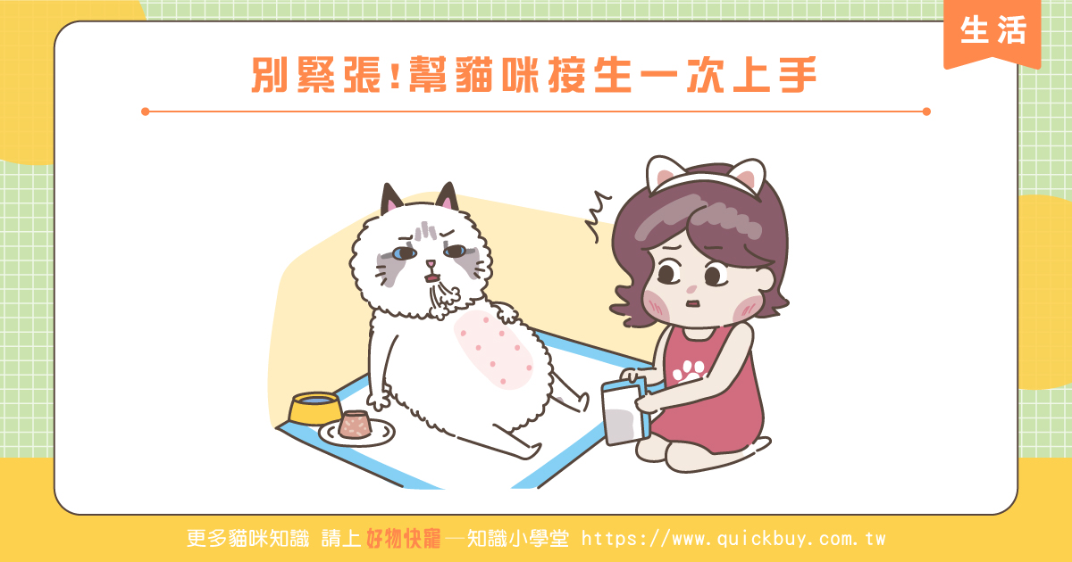 別緊張!幫貓咪接生一次上手!
