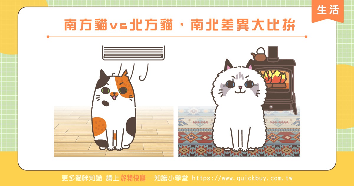 南方貓vs北方貓，南北差異大比拚
