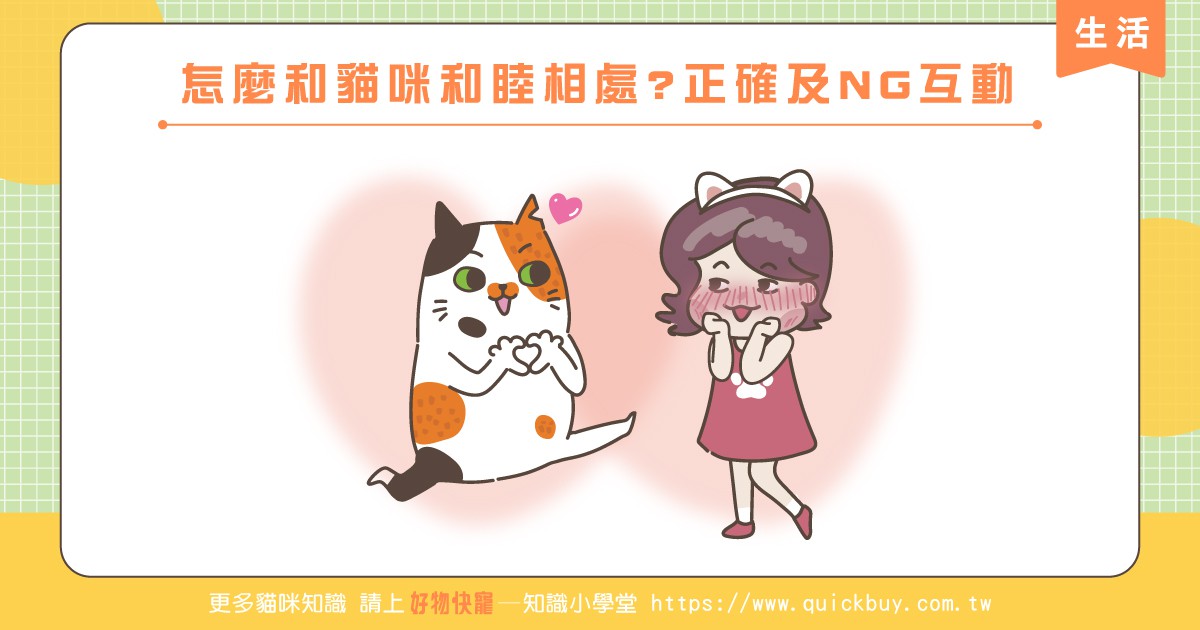 怎麼和貓咪和睦相處?正確及NG互動