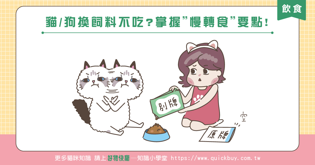 貓/狗換飼料不吃?掌握”慢轉食”要點!