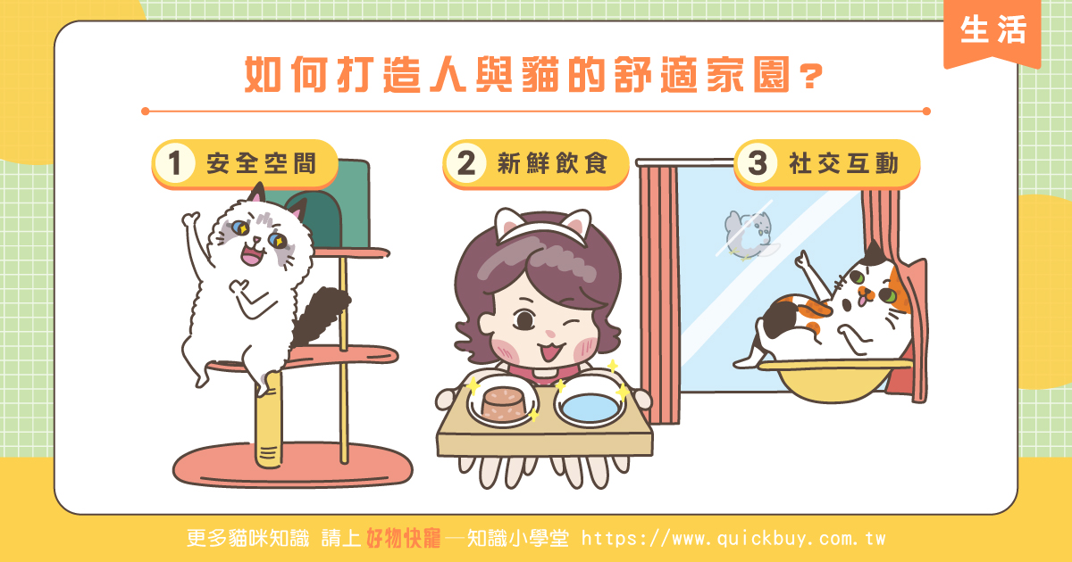 如何打造人與貓的舒適家園?新手爸媽看過來!