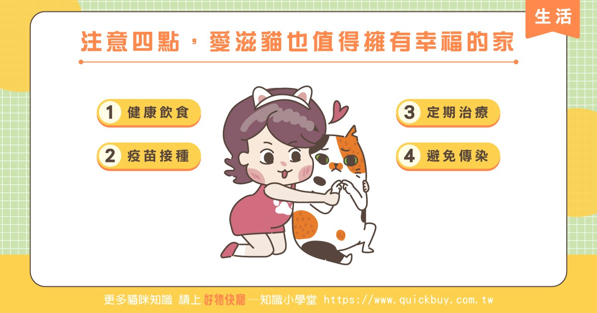 如何照顧患有FIV的貓咪?