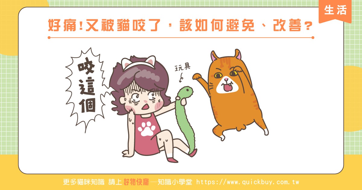 好痛!又被貓咬了，該如何避免、改善?