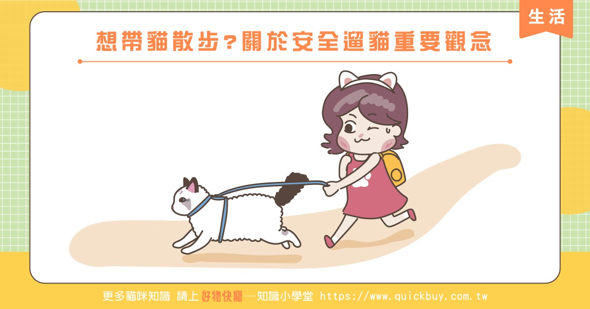 想帶貓咪出們玩?關於安全遛貓重要觀念!