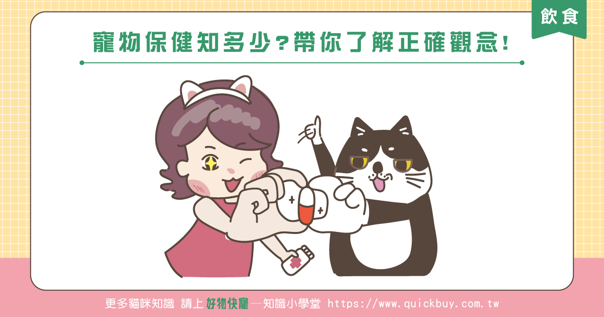 寵物保健知多少?帶你了解正確觀念!