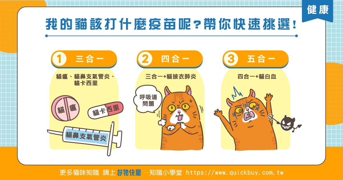 三合一?四合一?五合一?帶你快速挑選貓咪疫苗!