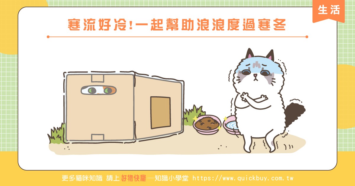 寒流好冷!一起幫助浪浪度過寒冬