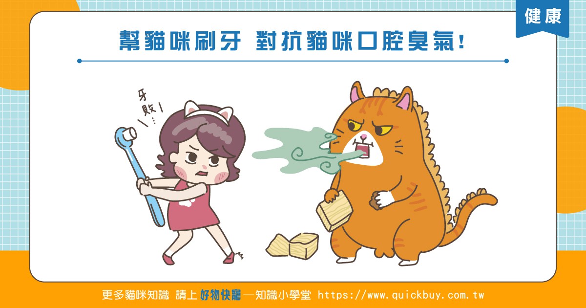 幫貓咪刷牙，對抗貓咪口腔臭氣!