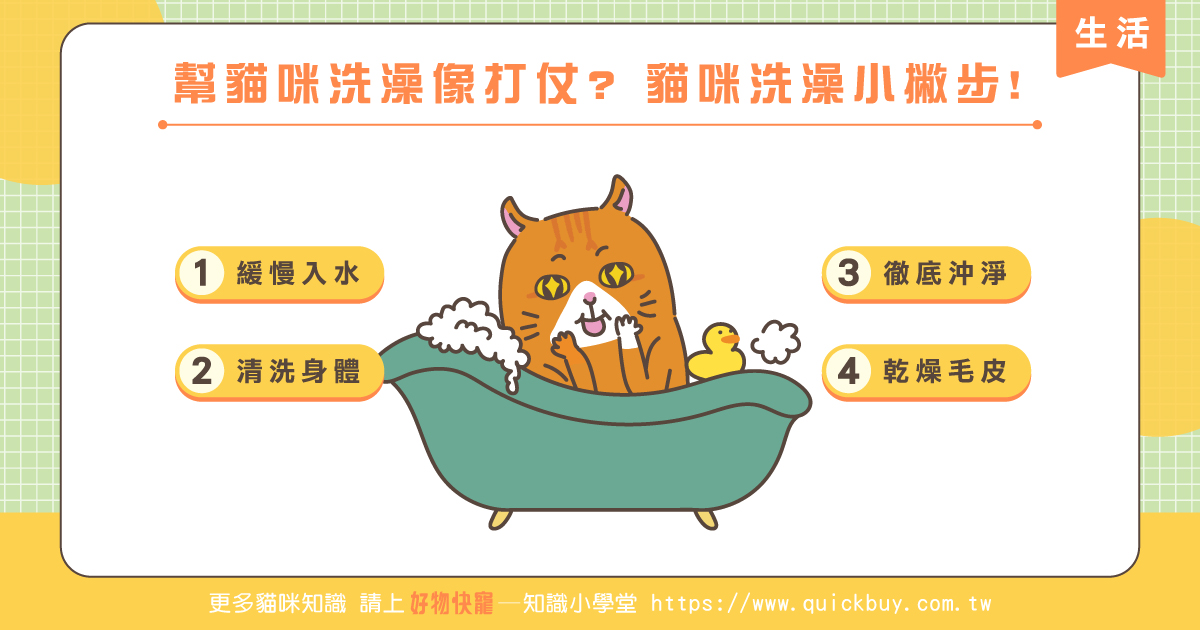 幫貓咪洗澡像打仗嗎? 幫貓咪洗澡小撇步!