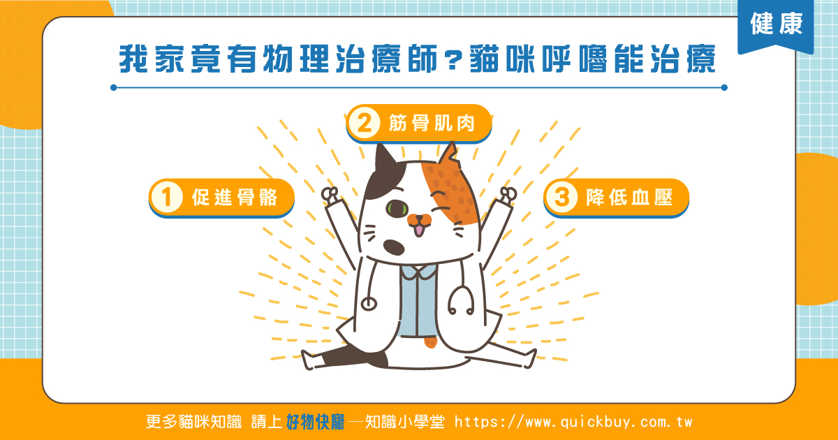我家竟然有物理治療師?貓咪呼嚕能治療!