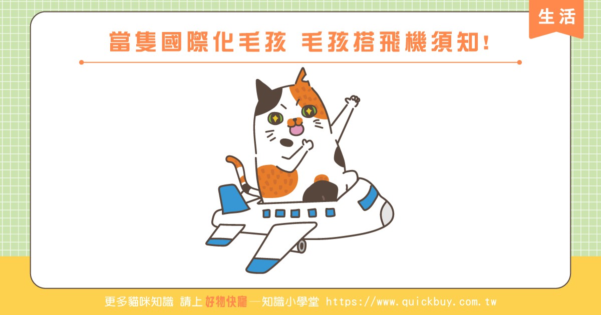 當隻國際化的毛孩，毛孩搭飛機須知!