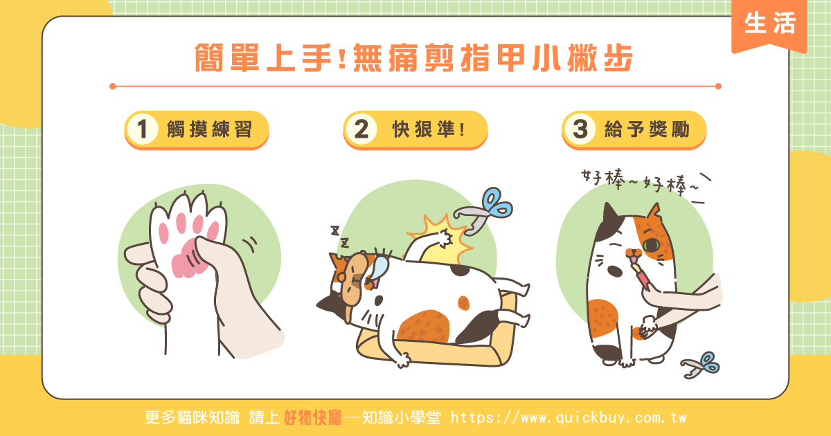 簡單上手!貓咪無痛剪指甲小撇步