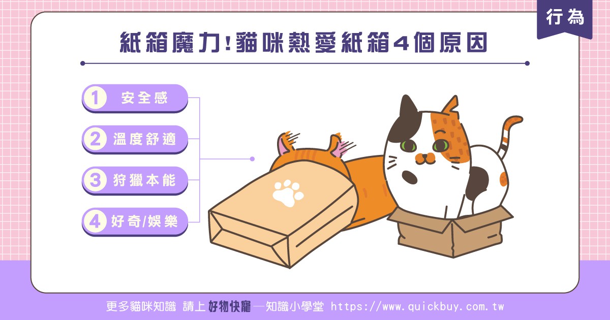 紙箱魔力!貓咪熱愛紙箱4個原因