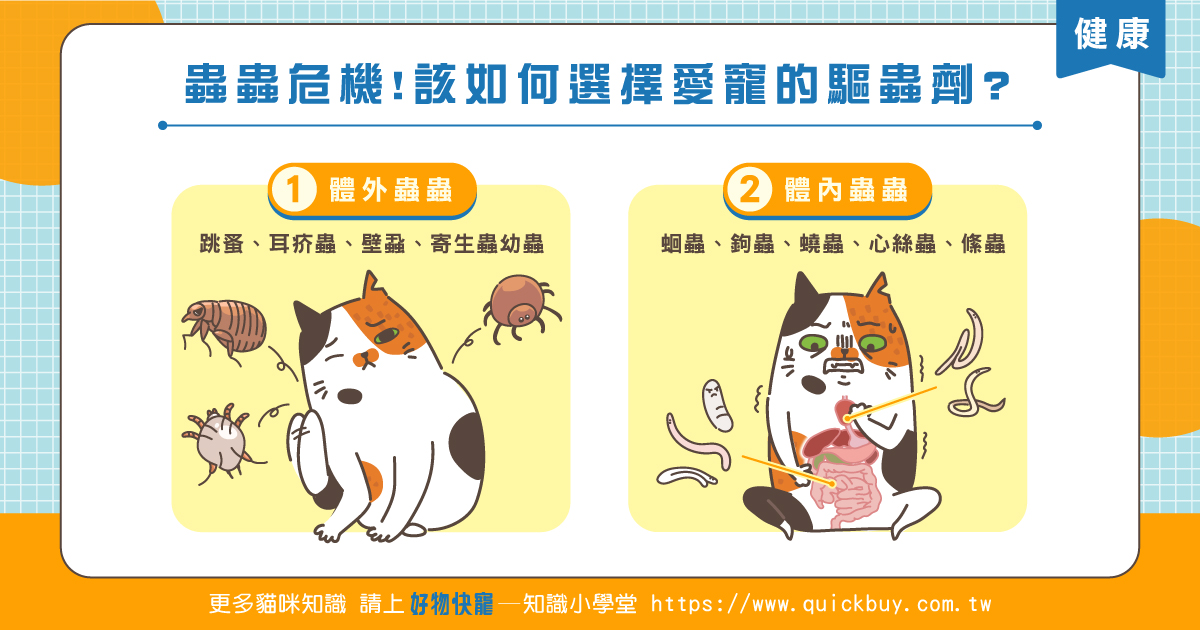 蟲蟲危機!該如何選擇愛寵的驅蟲劑?