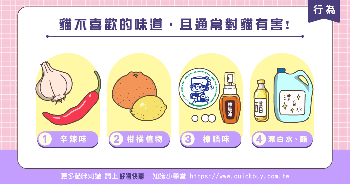 四種貓咪不喜歡的味道