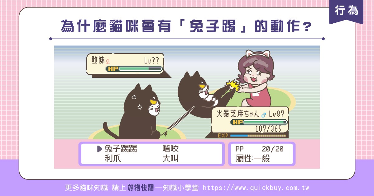 為什麼貓咪會有「兔子踢」的動作?