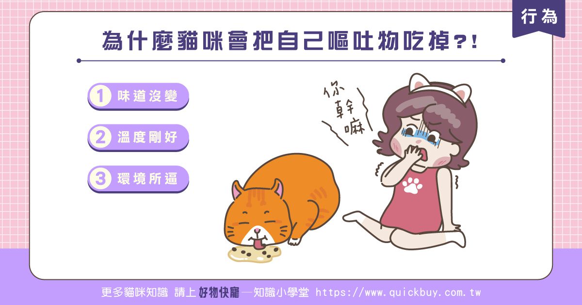 為什麼貓咪會把自己嘔吐物吃掉?!