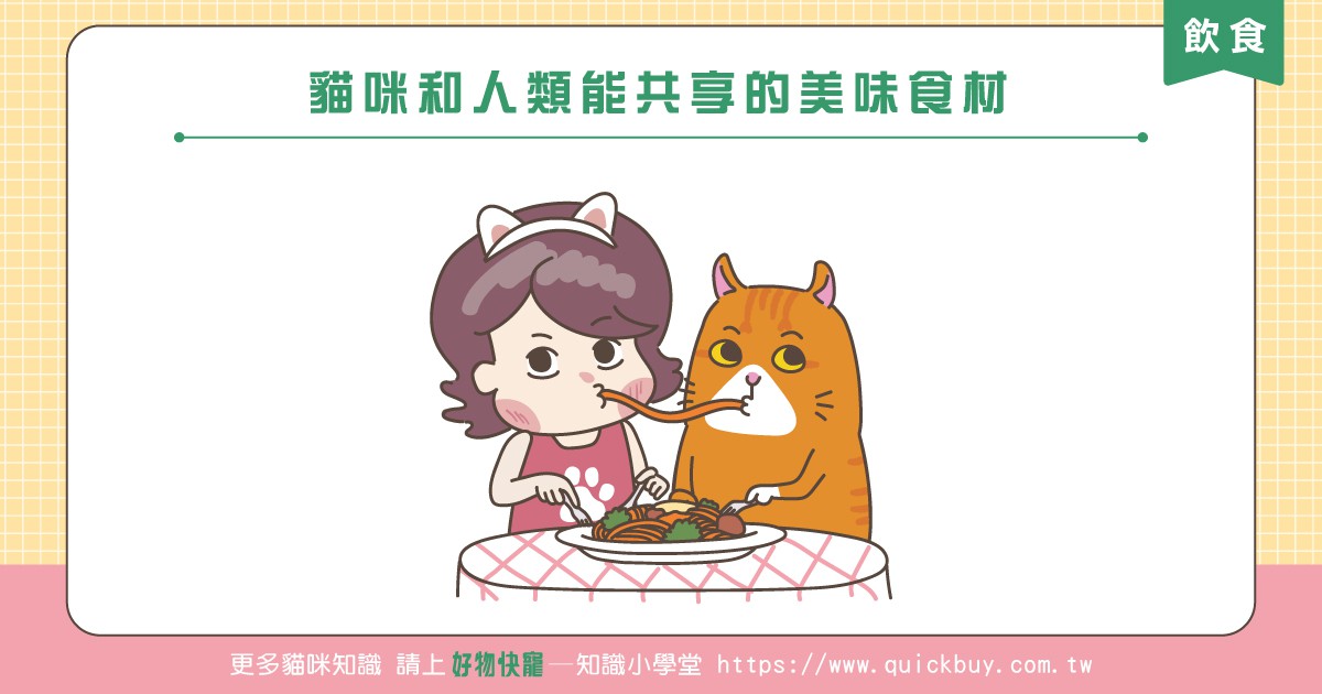 貓咪和人類能共享的美味食材