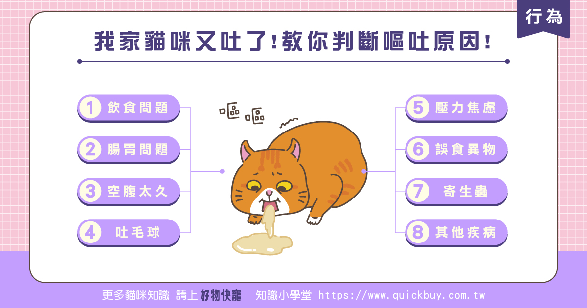 我家貓咪又吐了!8種原因教你如何判斷!
