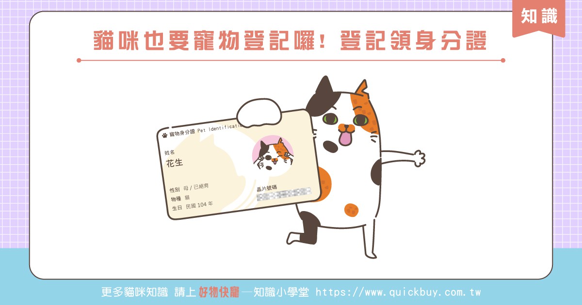 貓咪也要寵物登記囉! 登記領身分證