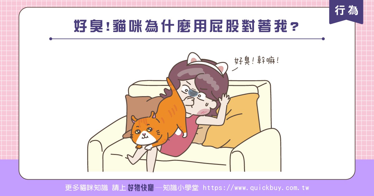 好臭!貓咪為什麼用屁股對著我?