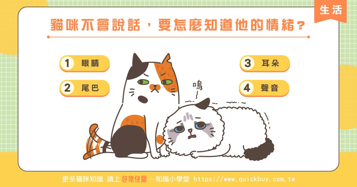 貓咪不會說話，要怎麼知道他的情緒?