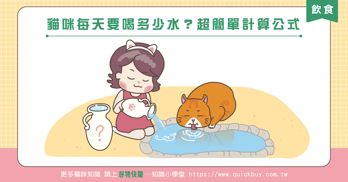 貓咪每天要喝多少水？超簡單飲水計算公式