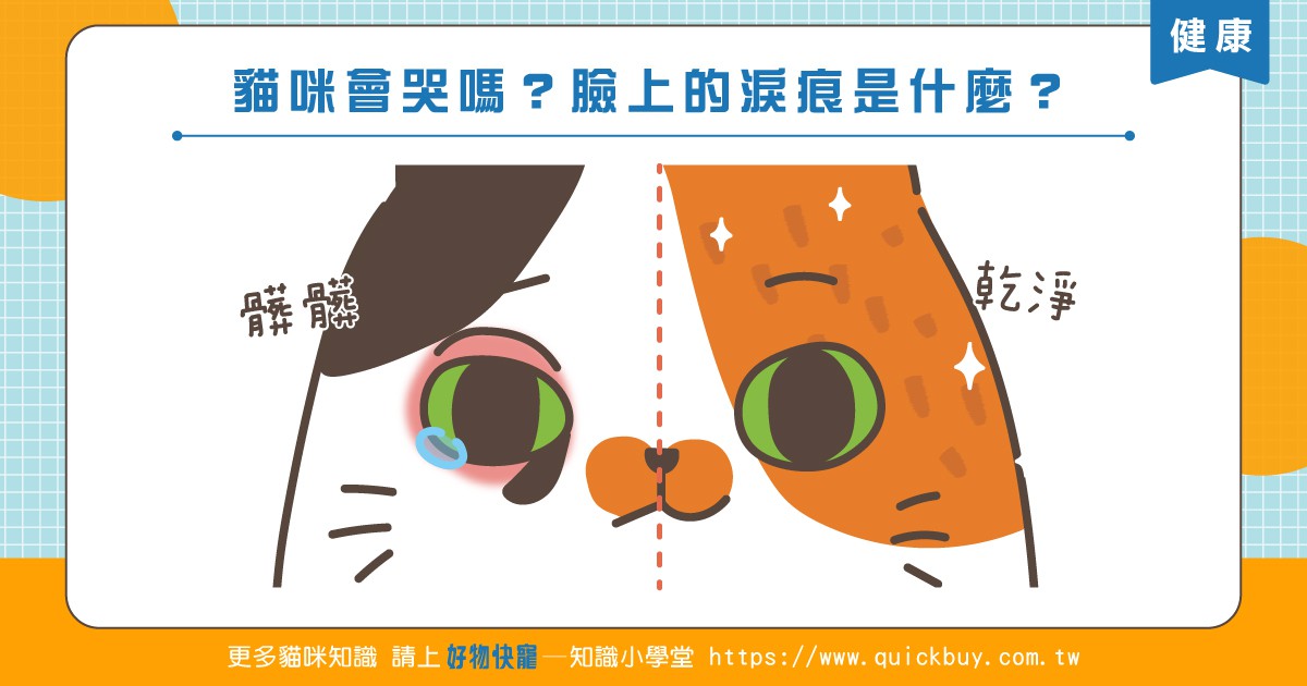 貓咪會哭嗎？臉上的淚痕是什麼？