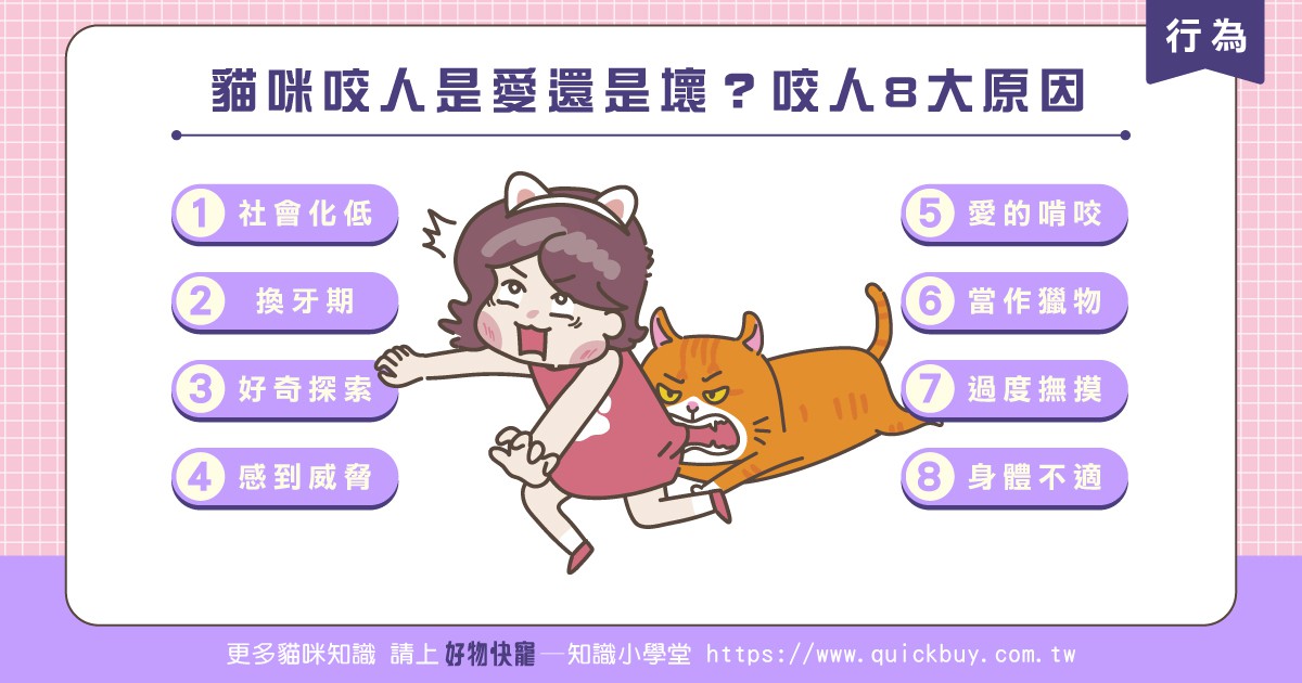 貓咪咬人是愛還是壞？咬人8大原因