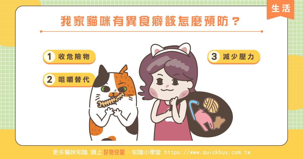 我家貓咪有異食癖該怎麼預防?