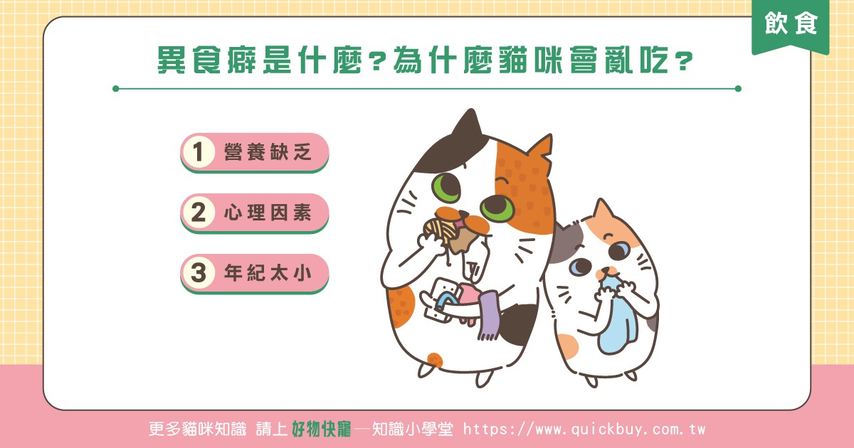 異食癖是什麼?為什麼貓咪會亂吃?